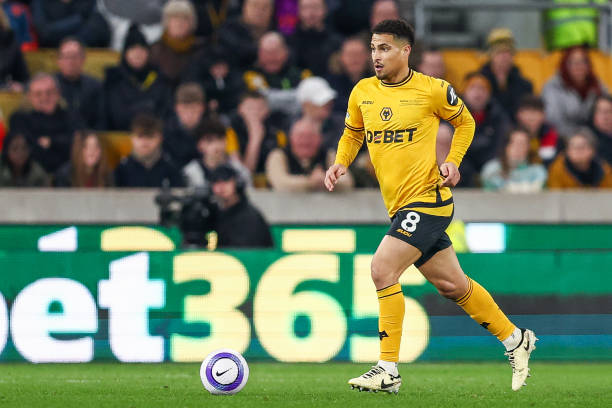 更能起到 更能起到