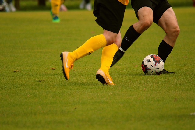 静与智慧 静与智慧