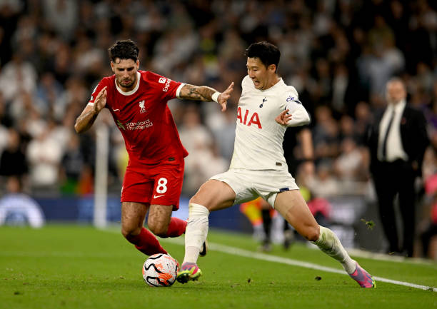 定性和可能 定性和可能