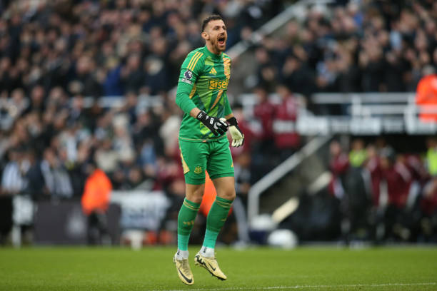 而近期灰熊 而近期灰熊